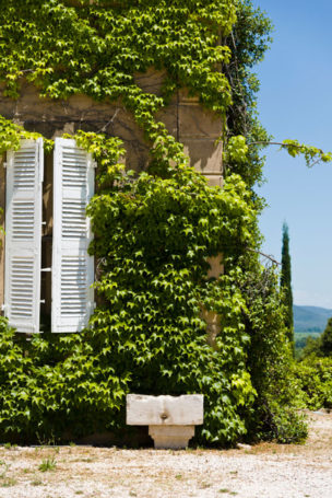 _ALP5604 Maison domaine Vin Toureveque, house of barbeyrolles vineyard with green leaf on a moutain