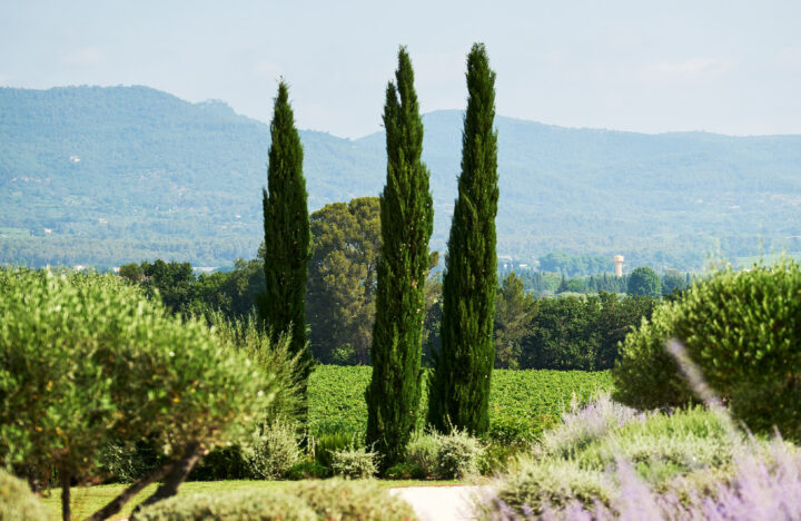 AL25_EVEQUE_JUIN_25_DSC9849_WEB