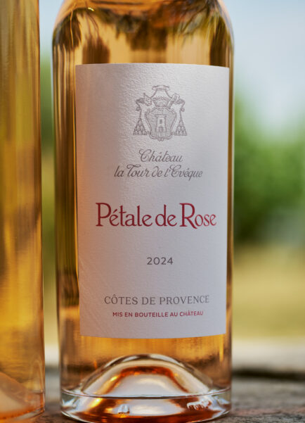 TOUREVEQUE-A-LANNERETONNE (6)